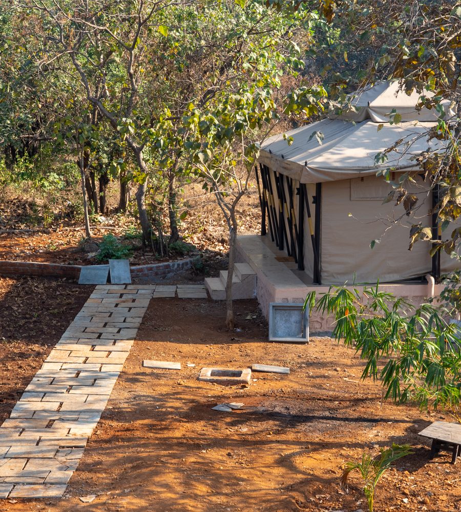 a tent pitched among the trees, path still raw earth